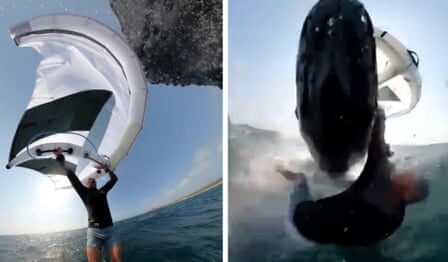 Video captures moment wingfoiler is body-slammed by whale at Sydney beach - video