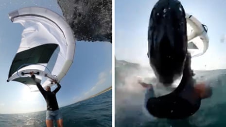 Video captures moment wingfoiler is body-slammed by whale at Sydney beach - video