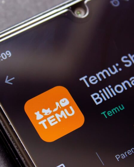 Temu Owner PDD Plunges 18% After Revenue, Outlook Disappoint