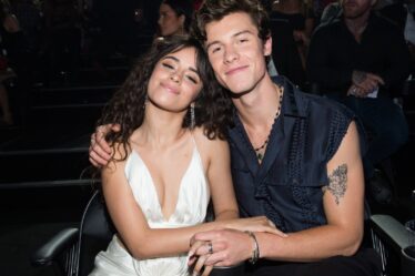 Shawn Mendes Camila Cabello