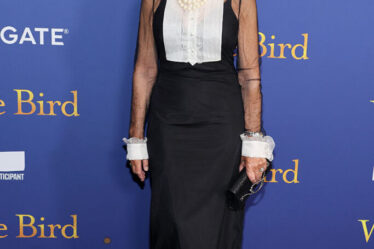 Helen Mirren Wore Dolce & Gabbana To The 'White Bird' New York Screening