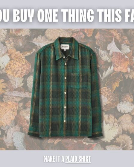 a green plaid shirt. text on-screen reads: if you buy one thing this fall...make it a plaid shirt