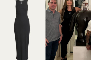 Sofia Vergara's Loewe Anagram Vest Dress