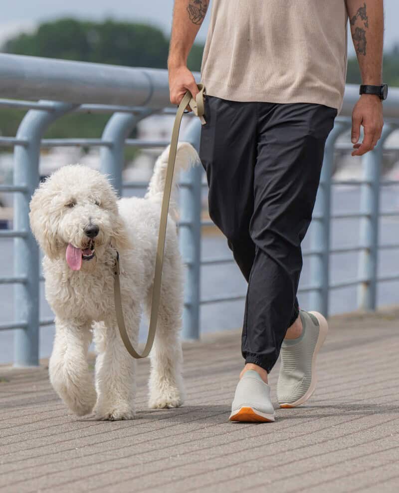 man walking a dog wearing the Move Slip-On Sneakers