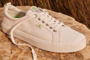 7 Best Shoes That Look Like Converse: Supreme 2024 Footwear