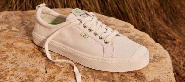 7 Best Shoes That Look Like Converse: Supreme 2024 Footwear