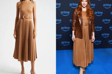 Bryce Dallas Howard's Cinq à Sept Kami A-Line Dress