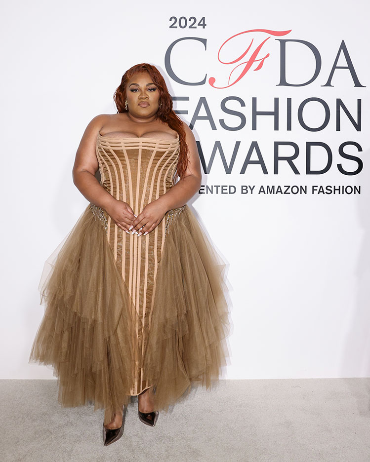 Celebrities in Wiederhoeft at the 2024 CFDA Fashion Awards