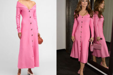 Elizabeth Hurley's Lela Rose Off-The-Shoulder Button-Front Dress