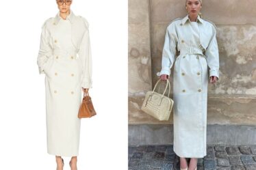 Elsa Hosk's Helsa Classic Oversized Trench