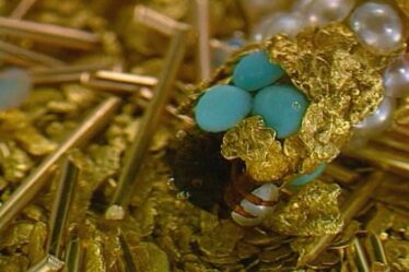 Still from a video of caddisfly larvae spinning cocoons from gold and gemstones in a work by Hubert Duprat, screened at the Joya jewellery event.