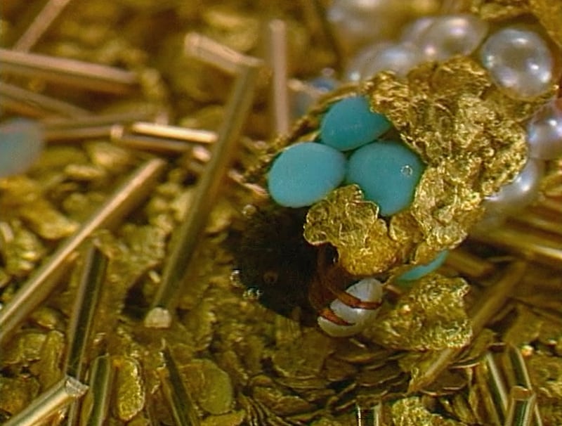 Still from a video of caddisfly larvae spinning cocoons from gold and gemstones in a work by Hubert Duprat, screened at the Joya jewellery event.