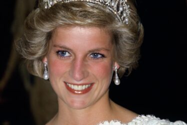 Image may contain Diana Princess of Wales Person Adult Wedding and Accessories