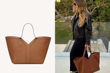 Sofia Richie's Saint Laurent Y Tote