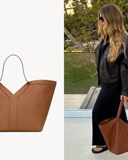 Sofia Richie's Saint Laurent Y Tote