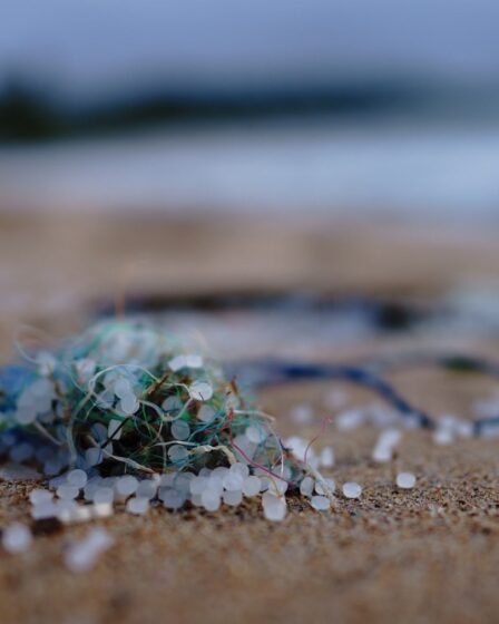 The Japanese Manicurist Taking on Plastic Pollution, One Nail at a Time