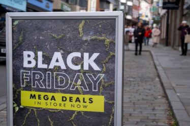 This Week: On Black Friday, It’s Shein and Temu Versus the World