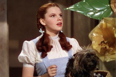 Image may contain Judy Garland Person Teen Animal Canine Dog Mammal and Pet