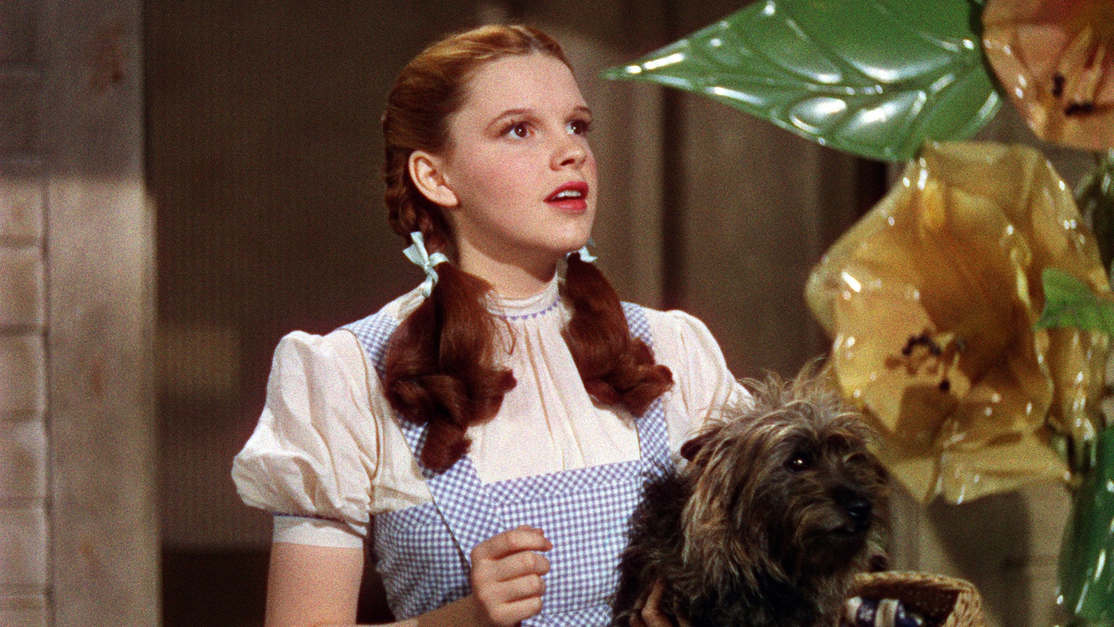 Image may contain Judy Garland Person Teen Animal Canine Dog Mammal and Pet