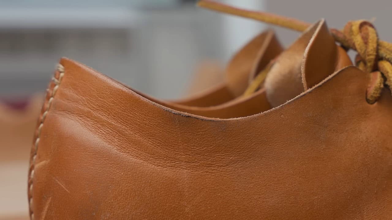 Horse Leather