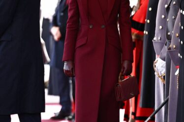 Catherine, Princess of Wales Wore Alexander McQueen by Sarah Burton For The Qatar State Visit 