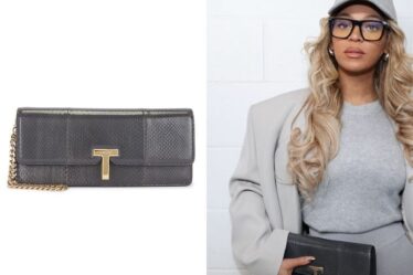 Beyonce's Tom Ford Ayers Wallis Snakeskin Clutch