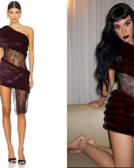 Katy Perry's Kim Shui Aubergine Faux Fur Combo Dress