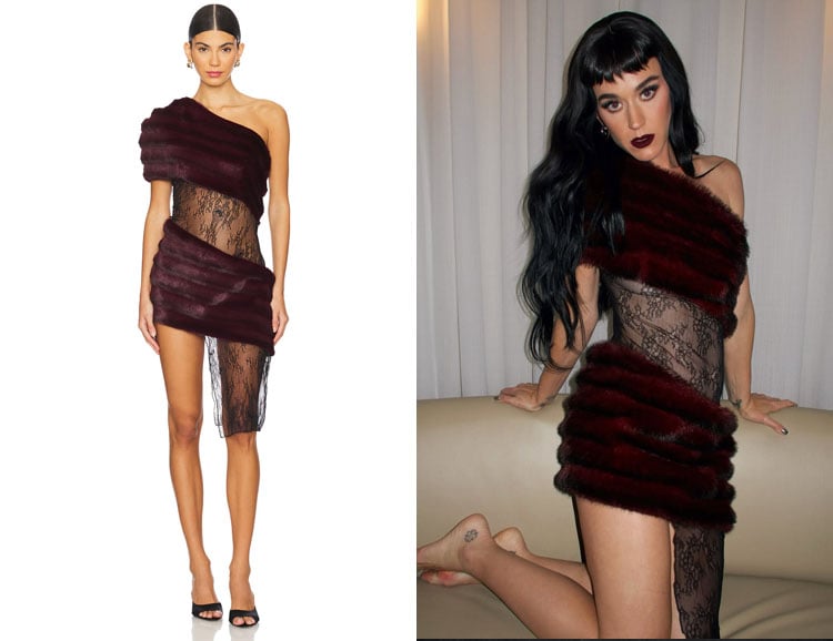 Katy Perry's Kim Shui Aubergine Faux Fur Combo Dress