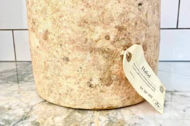 Hafod Organic Welsh Cheese