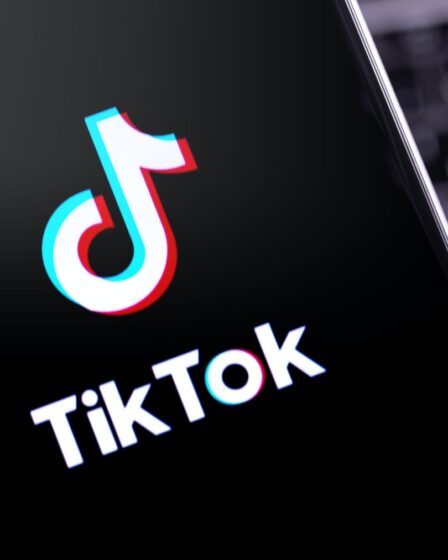 US Supreme Court to Consider TikTok Bid to Halt Ban