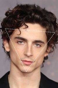 Timothee Chalamet Triangle Face Shape