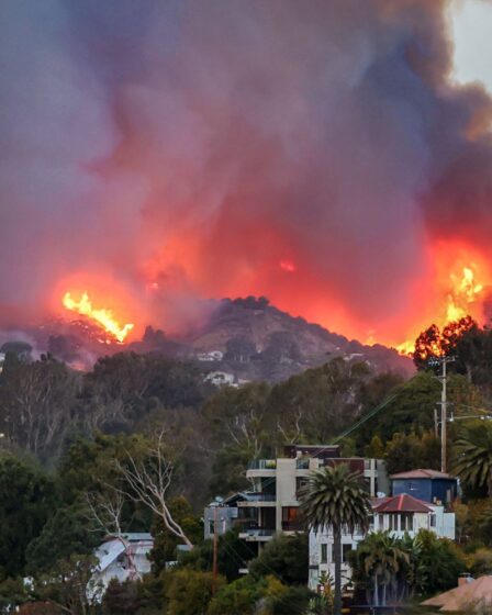 Elyse Walker, Palisades Village Area Businesses Damaged by California Fires