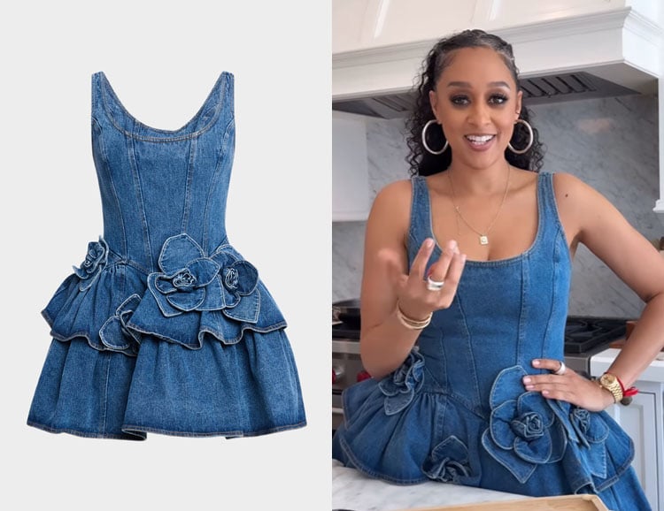 Tia Mowry's AKNVAS Devyn Denim Ruffle Mini Dress